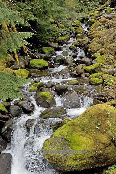 stream 3515b graphic